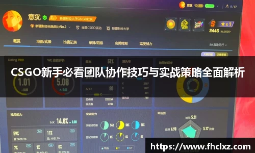 CSGO新手必看团队协作技巧与实战策略全面解析
