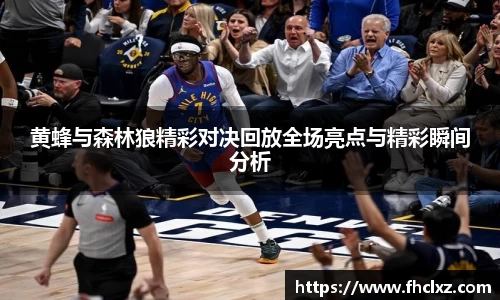 黄蜂与森林狼精彩对决回放全场亮点与精彩瞬间分析