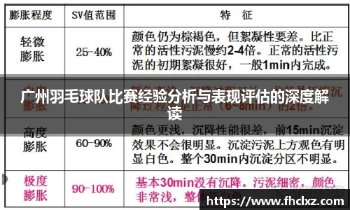 广州羽毛球队比赛经验分析与表现评估的深度解读