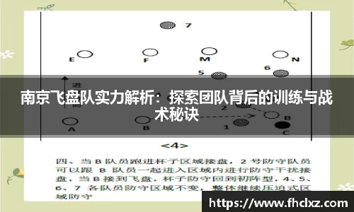 南京飞盘队实力解析：探索团队背后的训练与战术秘诀